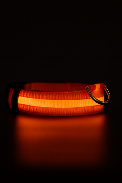 Pet luminous collar - rechargeable LED collar - Teddy/golden retriever/large, medium and small dog pet collar
