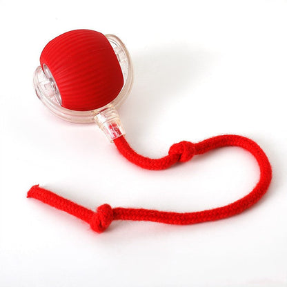 🔥Smart Chase Interactive Pet Ball-Pet Activity Toys&Pet Training Toys🐾
