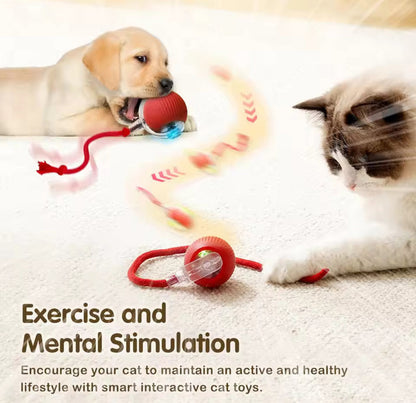 🔥Smart Chase Interactive Pet Ball-Pet Activity Toys&Pet Training Toys🐾