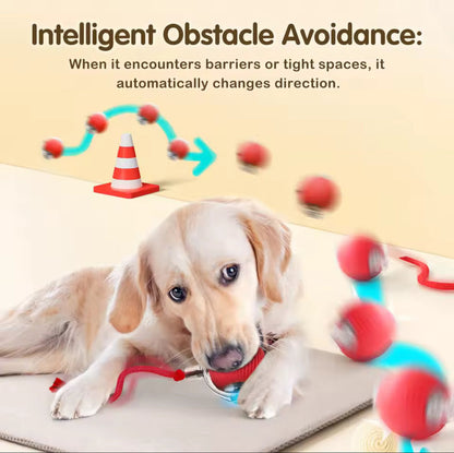 🔥Smart Chase Interactive Pet Ball-Pet Activity Toys&Pet Training Toys🐾
