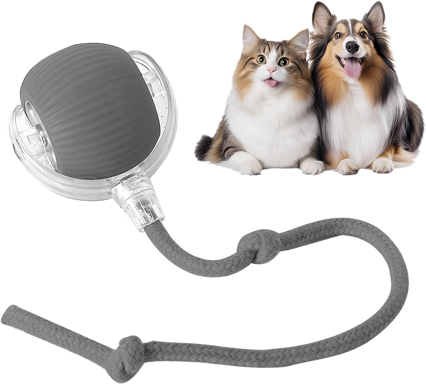 🔥Smart Chase Interactive Pet Ball-Pet Activity Toys&Pet Training Toys🐾